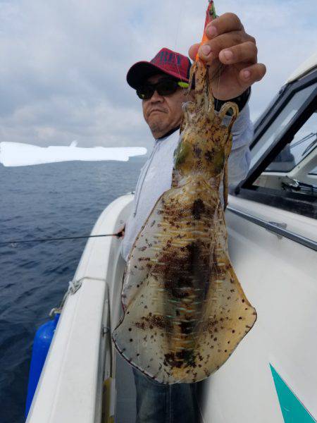 ソルトウォーターガイドフレンズ 釣果