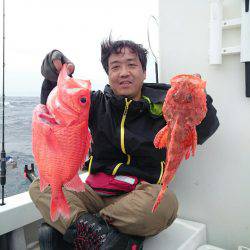 エンペラー 釣果