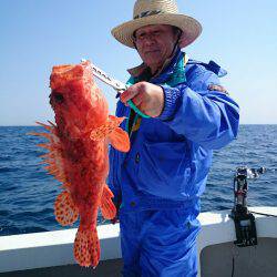 エンペラー 釣果