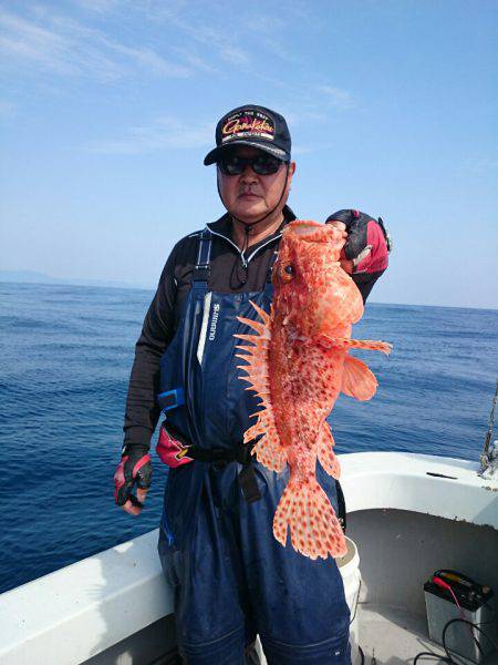 エンペラー 釣果