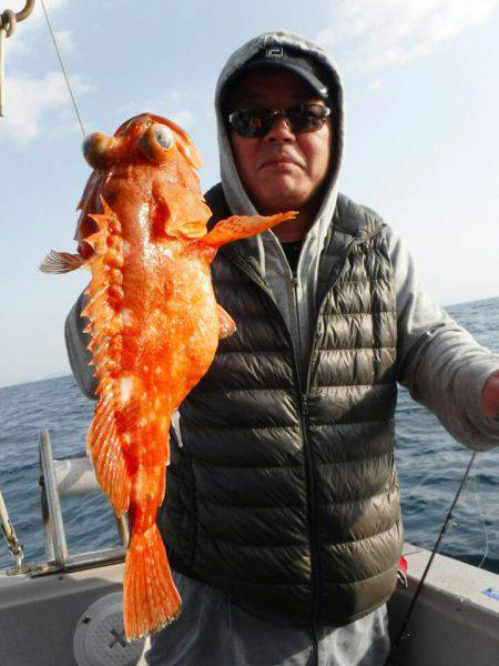 ブルースフィッシングサービス 釣果