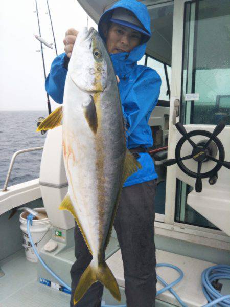 アマテラス 釣果