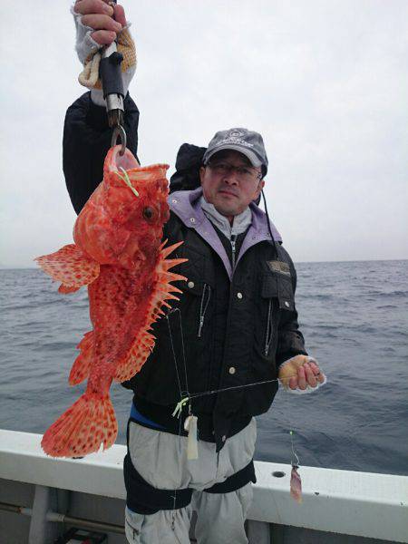 エンペラー 釣果