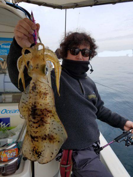 ソルトウォーターガイドフレンズ 釣果