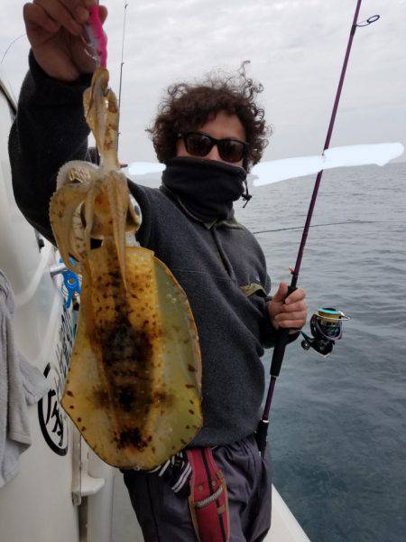 ソルトウォーターガイドフレンズ 釣果