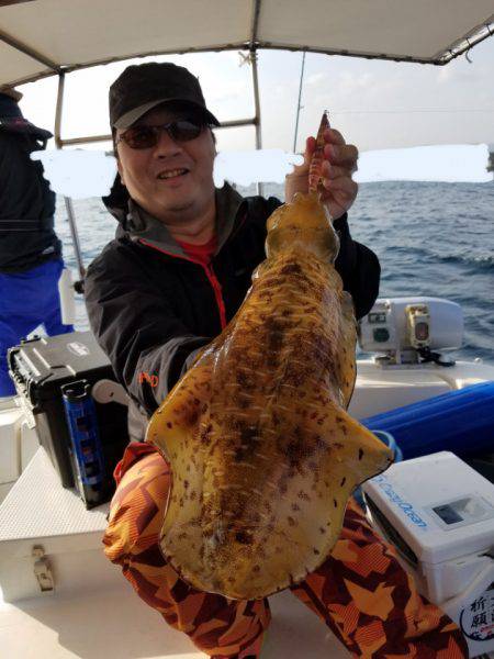 ソルトウォーターガイドフレンズ 釣果