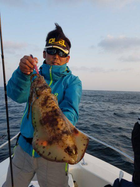 ソルトウォーターガイドフレンズ 釣果