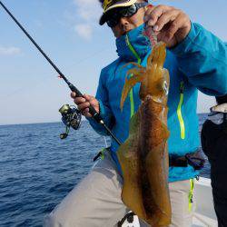 ソルトウォーターガイドフレンズ 釣果