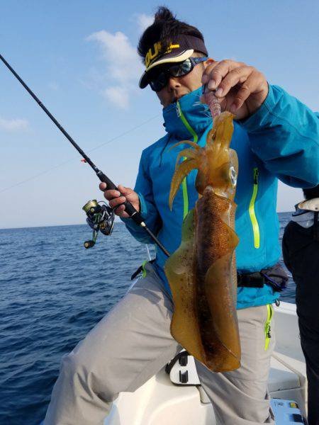 ソルトウォーターガイドフレンズ 釣果