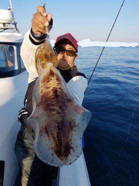 ソルトウォーターガイドフレンズ 釣果