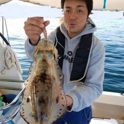 ソルトウォーターガイドフレンズ 釣果