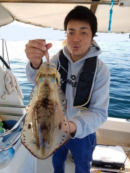 ソルトウォーターガイドフレンズ 釣果