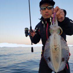 ソルトウォーターガイドフレンズ 釣果