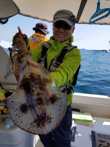ソルトウォーターガイドフレンズ 釣果