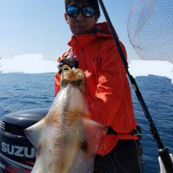 ソルトウォーターガイドフレンズ 釣果