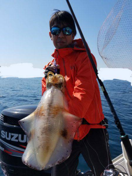 ソルトウォーターガイドフレンズ 釣果