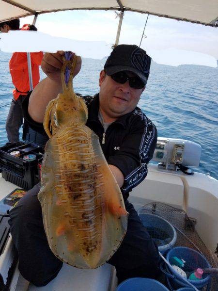 ソルトウォーターガイドフレンズ 釣果