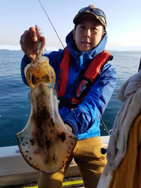 ソルトウォーターガイドフレンズ 釣果