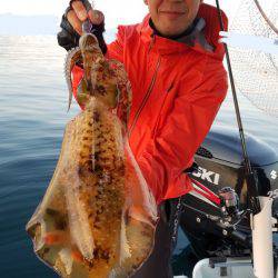 ソルトウォーターガイドフレンズ 釣果