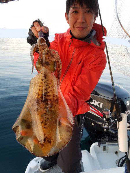 ソルトウォーターガイドフレンズ 釣果