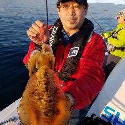 ソルトウォーターガイドフレンズ 釣果