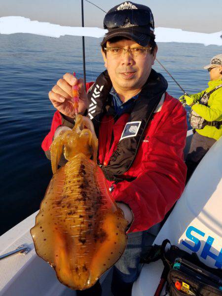 ソルトウォーターガイドフレンズ 釣果