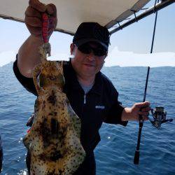 ソルトウォーターガイドフレンズ 釣果