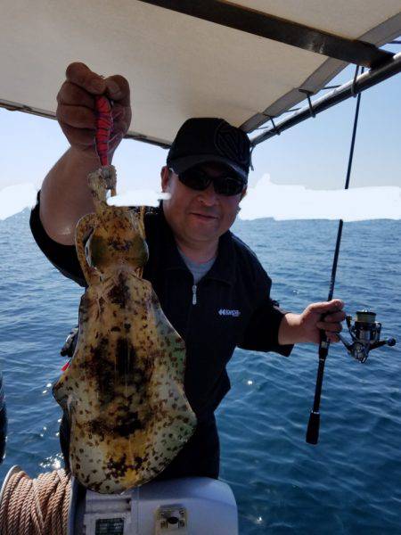 ソルトウォーターガイドフレンズ 釣果