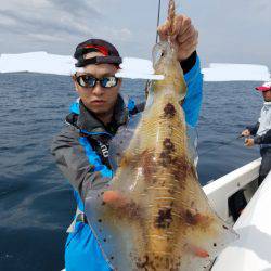 ソルトウォーターガイドフレンズ 釣果