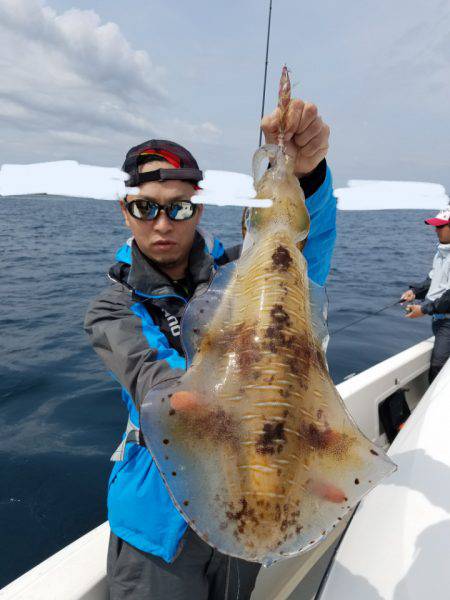 ソルトウォーターガイドフレンズ 釣果