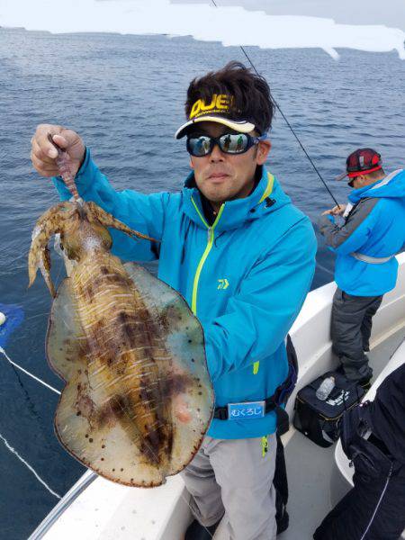 ソルトウォーターガイドフレンズ 釣果