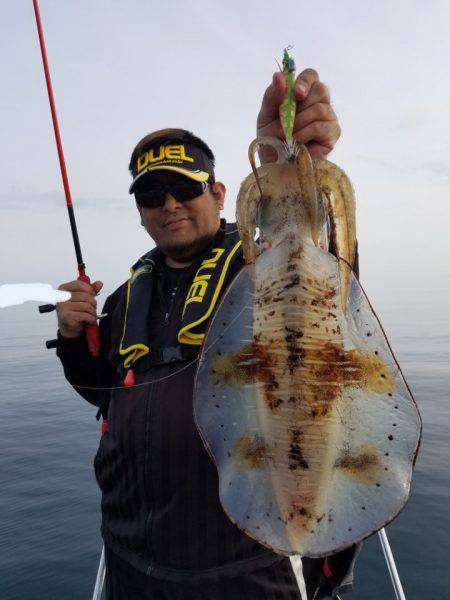 ソルトウォーターガイドフレンズ 釣果