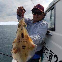 ソルトウォーターガイドフレンズ 釣果