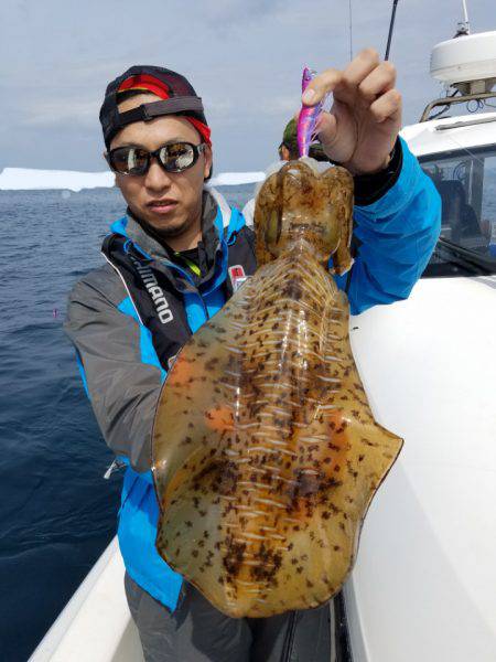 ソルトウォーターガイドフレンズ 釣果