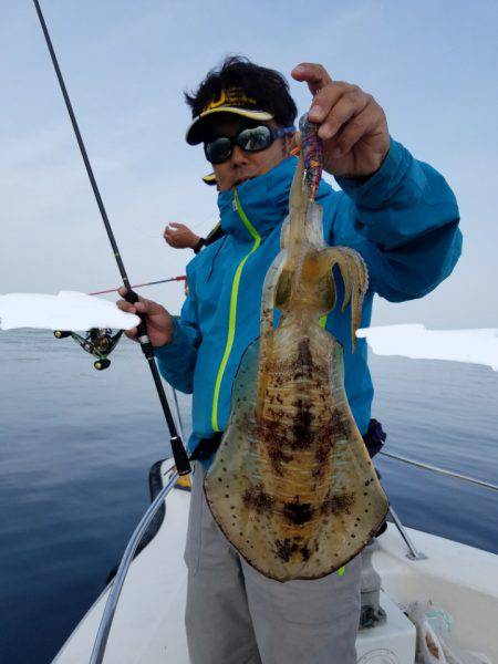 ソルトウォーターガイドフレンズ 釣果