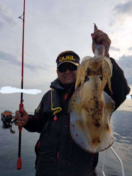 ソルトウォーターガイドフレンズ 釣果