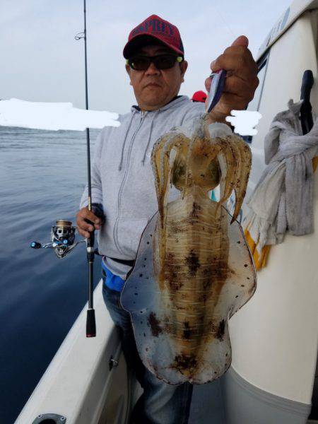 ソルトウォーターガイドフレンズ 釣果