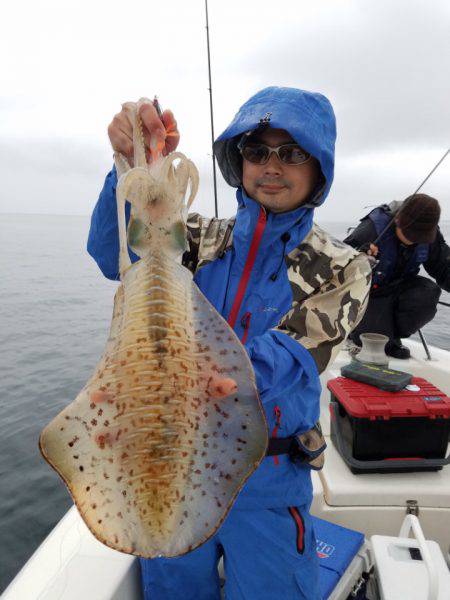 ソルトウォーターガイドフレンズ 釣果