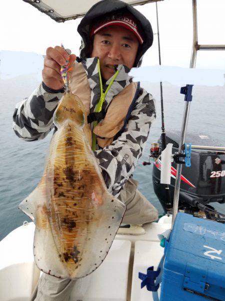 ソルトウォーターガイドフレンズ 釣果