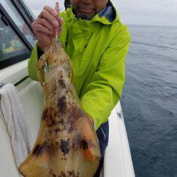 ソルトウォーターガイドフレンズ 釣果