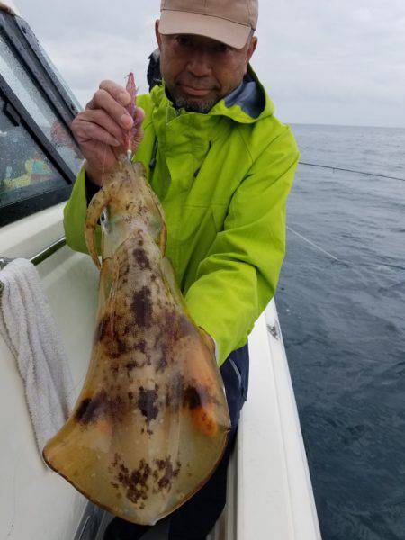 ソルトウォーターガイドフレンズ 釣果