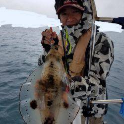 ソルトウォーターガイドフレンズ 釣果