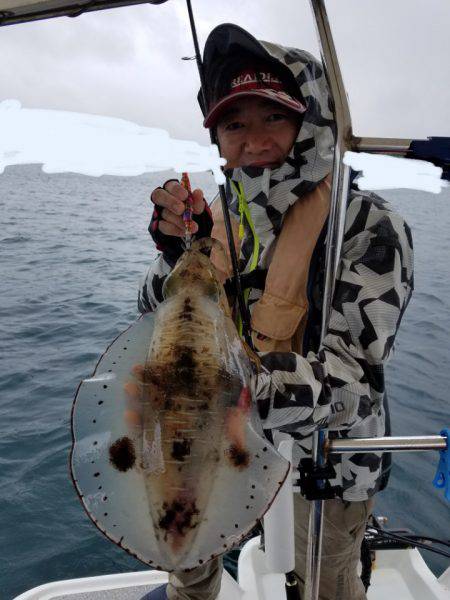 ソルトウォーターガイドフレンズ 釣果