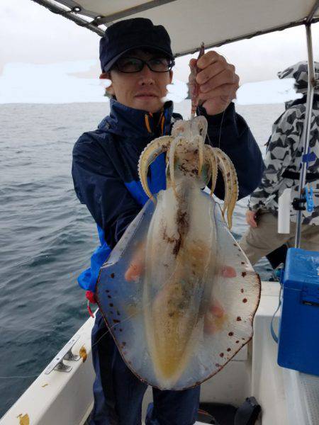 ソルトウォーターガイドフレンズ 釣果