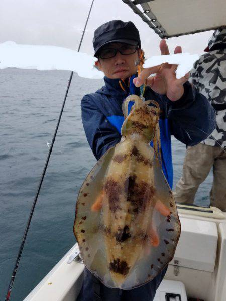 ソルトウォーターガイドフレンズ 釣果