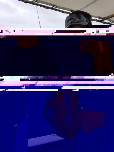 ソルトウォーターガイドフレンズ 釣果