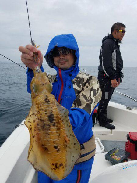 ソルトウォーターガイドフレンズ 釣果