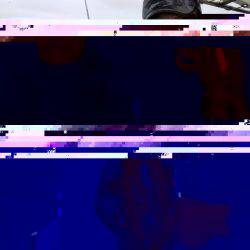 ソルトウォーターガイドフレンズ 釣果