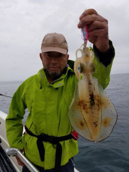 ソルトウォーターガイドフレンズ 釣果