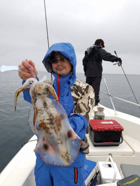 ソルトウォーターガイドフレンズ 釣果